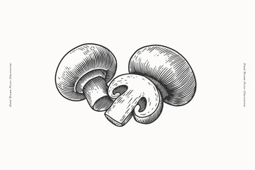 Whole and sliced champignon mushrooms. Hand drawn engraving illustration. Culinary ingredient and vegetarian food concept. Design for print, card, poster, banner