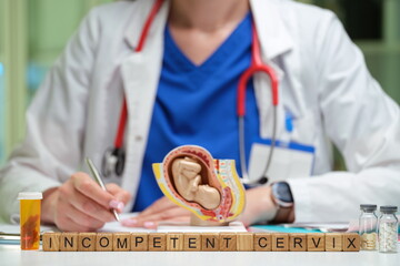 During a comprehensive consultation, a healthcare professional carefully examines a model of an...