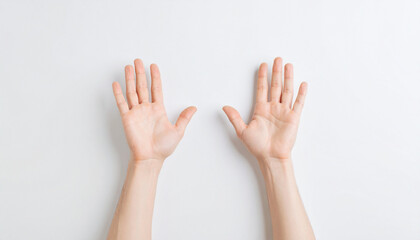 Open Palms Raised on White Background