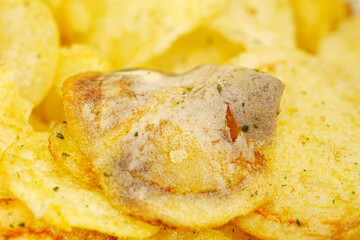 rotten potato chips. potato chips with spices. close up.
