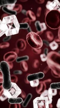 Hyper-realistic biological animation of crimson, translucent red blood cells, amoeboid white blood cells, and cubic sugar crystals drifting in deep dark red fluid with soft internal light, shallow