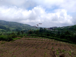Breathtaking view of Merapi's green foothills. A vibrant tapestry of life thriving on the volcanic...