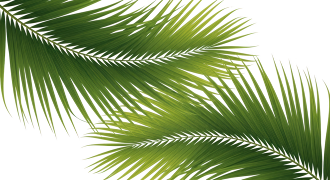 Vibrant green palm fronds forming an abstract pattern on a dark background