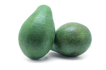 Fuerte avocado fruit (Persea americana Cv. Fuerte), Lauraceae. Fruit tree, evergreen. variety of...
