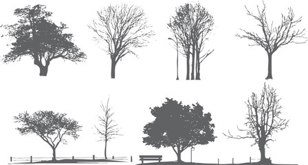 Silhouette of a dry tree with many branches. Vector illustration