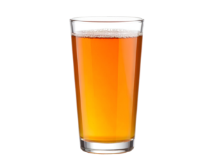 Refreshing beer in tall glass isolated