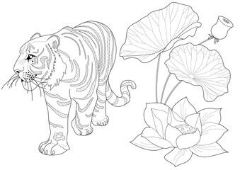 Coloring for art therapy. Animals and flowers of Asia. A calming and educational journey around the world with a collection of coloring pages.
