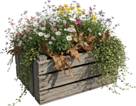Rustic wooden planter overflowing with colorful daisies yellow and purple flowers and trailing green vines - Powered by Adobe
