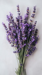 A lush bouquet of vibrant purple lavender flowers with green stems