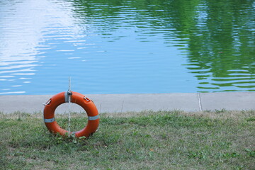 lifebuoy, life ring, rescue, safety, water, lake, pond, green water, summer, outdoors, emergency,...