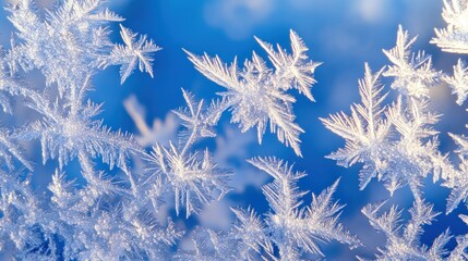Frozen patterns on a cold window