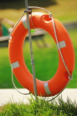 summer, leisure, relaxation, swimming, lifebuoy, safety ring, legs, pier, green water, lake, pond,...