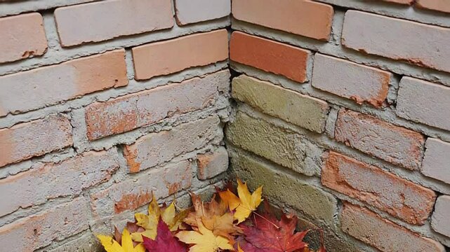 Colorful autumn maple leaves gathering at the corner of a brick wall