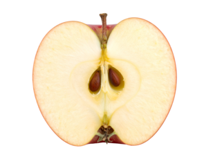 Cross section of a red apple