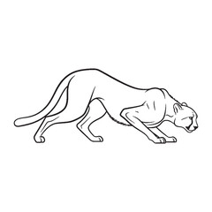 Sleek Cheetah Physique - Cheetah vector - Cheetah Line art - Cheetah Drawing - Vector Lineart of Cheetah - showing its aerodynamic form.

