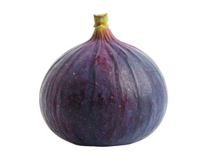 Single ripe fig isolated on black