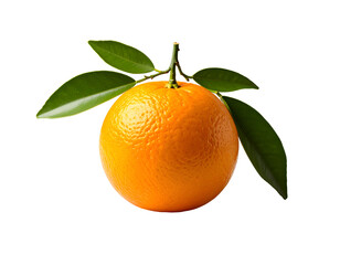 Orange fruit with leaves on black
