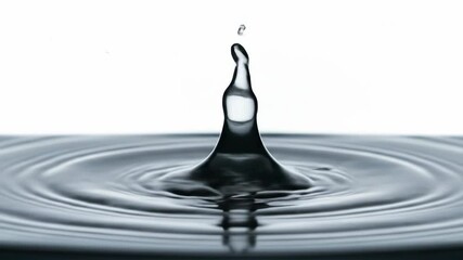 Water Droplet Impacting Surface - A single water droplet falls onto a still water surface, creating a crown splash and concentric ripples. - Powered by Adobe