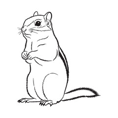 Visual Appeal Guaranteed - with this Stylized Chipmunk Vector - embracing contemporary Chipmunk Lineart for modern trends - a fresh Chipmunk Drawing - abstract Vector Lineart of Chipmunk design.


