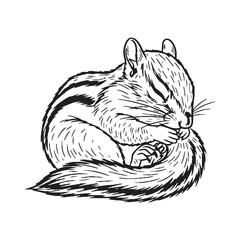 Perfect for Logos - this Clear Chipmunk Vector - delivers precise Chipmunk Lineart for sharp branding - a crisp Chipmunk Drawing - the ultimate Vector Lineart of Chipmunk outline.

