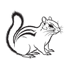 Craft your vision - using this Minimalist Chipmunk Vector - showcasing sleek Chipmunk Lineart for modern aesthetics - a simple Chipmunk Drawing - an elegant Vector Lineart of Chipmunk.

