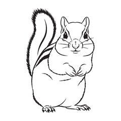 Experience a Classic Chipmunk Vector - complete with authentic Chipmunk Lineart for traditional designs - an iconic Chipmunk Drawing - the definitive Vector Lineart of Chipmunk asset.

