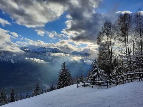 winter landscape with snow covered trees