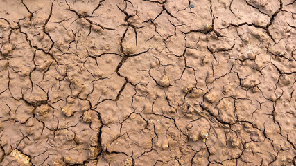 Macro photography of clay soil with deep cracks. Natural texture for use in design, visualizations and educational projects.