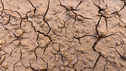 A close-up of dry, cracked earth symbolizing drought and climate change. Used in ecology, texture, and background themes.