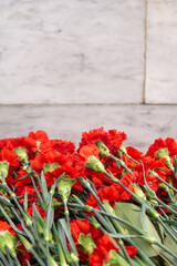 Red carnation flowers on the background of a white brick wall