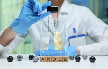 A dedicated scientist conducts an anode experiment using visible materials and advanced lab equipment