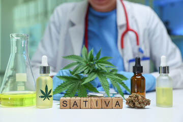 Engaging in the exploration of sativa cannabis products alongside a professional within a laboratory environment