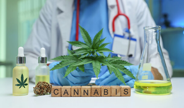 A doctor is examining cannabis for medical use, highlighting its benefits and ongoing research in this field