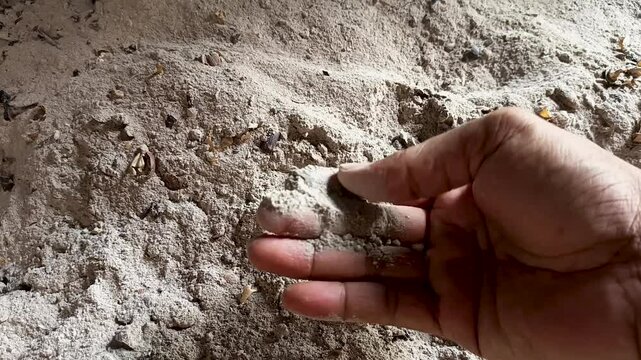 adult hands, holding ashes from burnt wood, traditional stove
