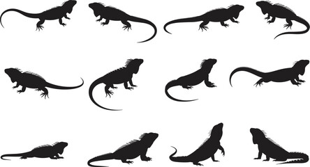 Iguana lizard silhouette set, vector illustration, reptile animal collection, black isolated design, exotic pet, wildlife, sitting, walking, crawling, white background
