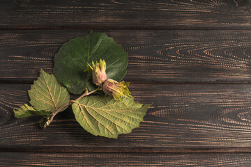 Mockup of an invitation, greeting card or certificate in a natural style on a wooden background with a hazelnut branch.