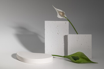 Minimalistic eco-friendly postcard, product presentation, platform with spathiphyllum flower and plaster molds.