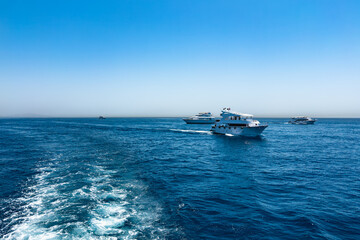Sunny day at sea and pleasure yachts on the waves. Summer vacation at sea.