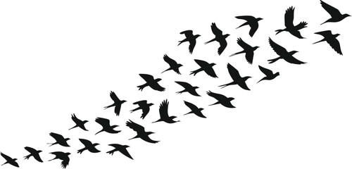 Flock of Silhouetted Birds Flying Diagonally Upward on White Background, Minimalist Design