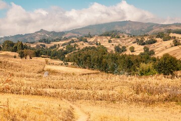Scenic view of an agricultural maize field against the background of Poroto Mountain Range in Mbeya Region, y