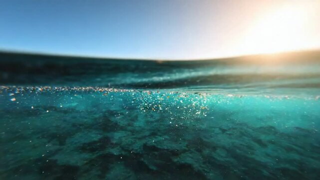 Underwater Sunburst: A mesmerizing split-level view captures the ocean's serene depths merging with the radiant sunlight on a calm, clear day.