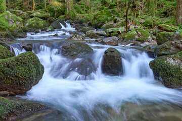 Majestic Allerheiligen Waterfalls: Powerful Cascades Over Mossy Rocks in Black Forest National Park's Pristine Wilderness