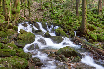 Misty Allerheiligen Waterfalls in Black Forest National Park, Germany. Scenic forest waterfall Allerheiligen Waterfalls in National Park SCHWARZWALD, Germany. Long exposure shot of a cascading