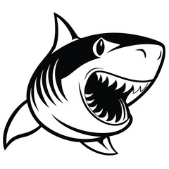 Fototapeta premium Fierce shark with open mouth and sharp teeth illustration