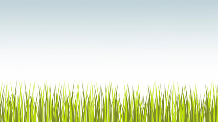 Obraz premium green grass background
