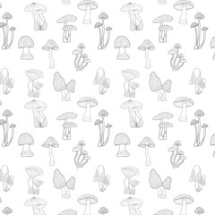 Fototapeta premium Seamless pattern mushrooms. Coloring mushrooms. Food and cooking concept can be used for menu, posters, logo. Design for print on fabric, wrapping paper, packing, wallpaper. Vector illustration