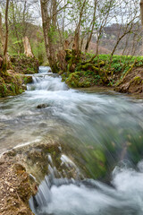 Lively Rushing Stream in Verdant Natural Setting, Vibrant Turquoise Water, Lush Greenery, Dynamic Texture, Rugged Rocky Banks, Early Spring Atmosphere.