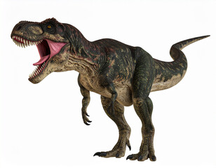 Fototapeta premium Fierce Vector Illustration of Roaring Tyrannosaurus Rex with Sharp Teeth and Aggressive Stance – Powerful Dinosaur Art on White Background for Education, Prehistoric, or Action Themes