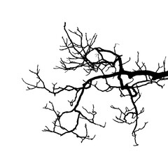 Bare Tree Branch Silhouette vector illustration