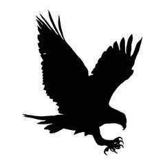 Silhouette of Eagle with Spread Wings in Flight